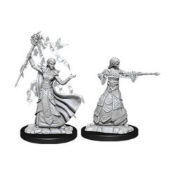 Nolzurs - Female Elf Wizard