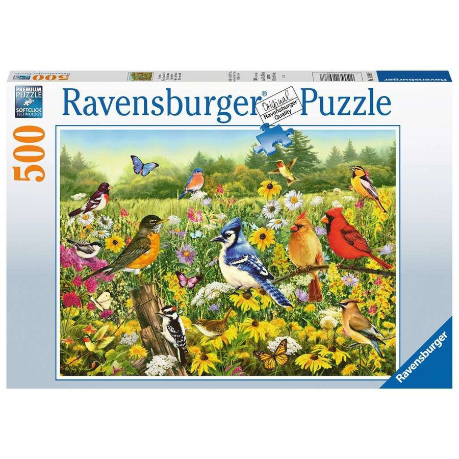 Birds in the Meadow 500pc