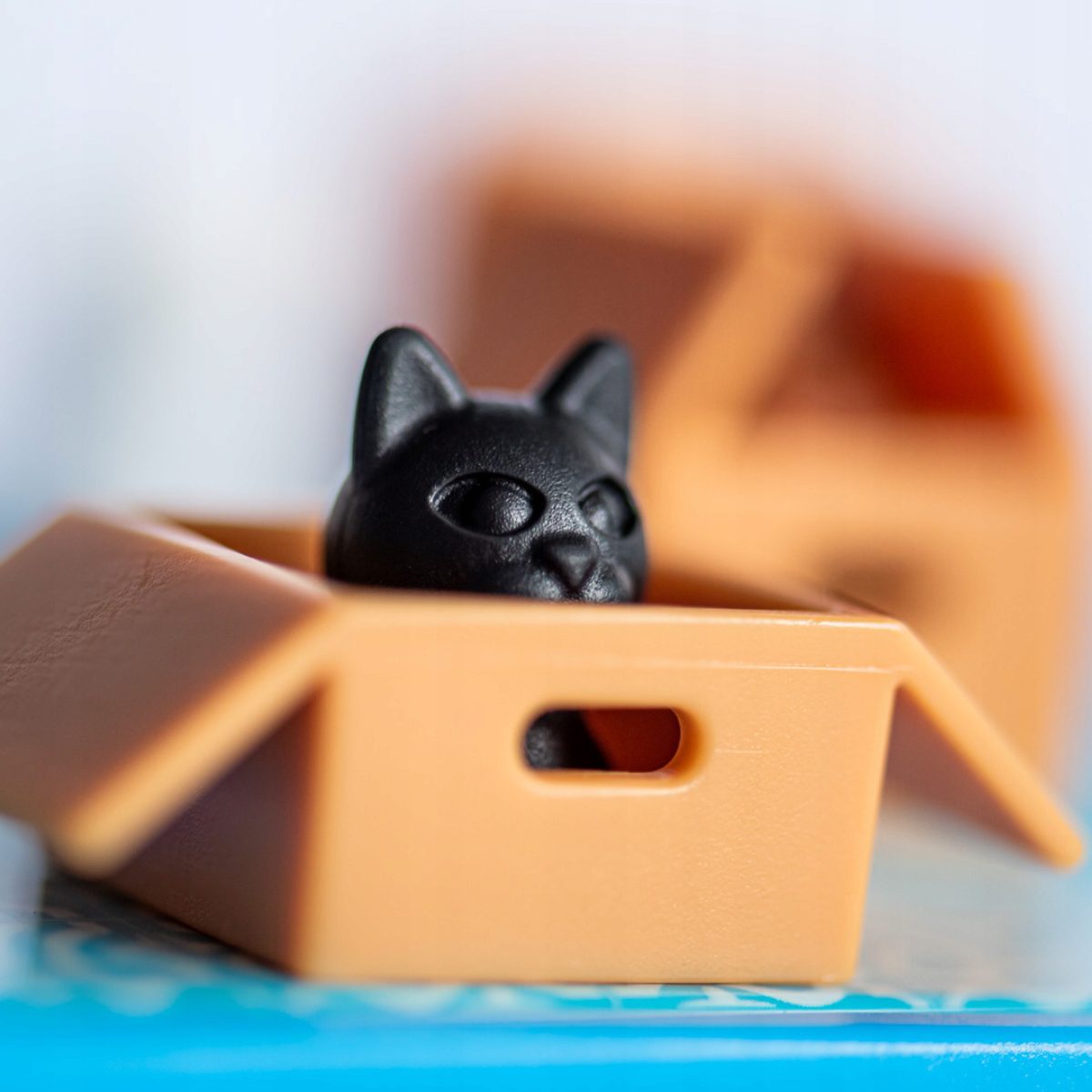 Creative cat box