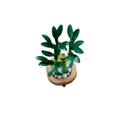 Botanicals - Lucky Bamboo - Image 4