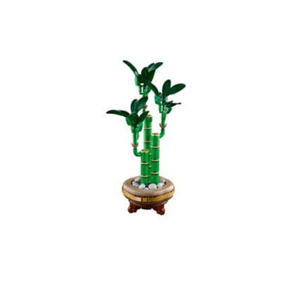 Botanicals - Lucky Bamboo - Image 5