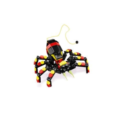 Creator - Wild Animal: Surprising Spider - Image 9