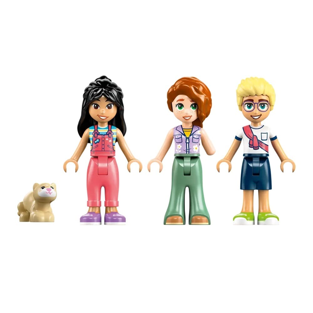 Friends - Friendship Camper Van Adventure - Image 5