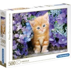 Ginger Cat - 500pc