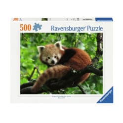 Red Panda Photo - 500pc