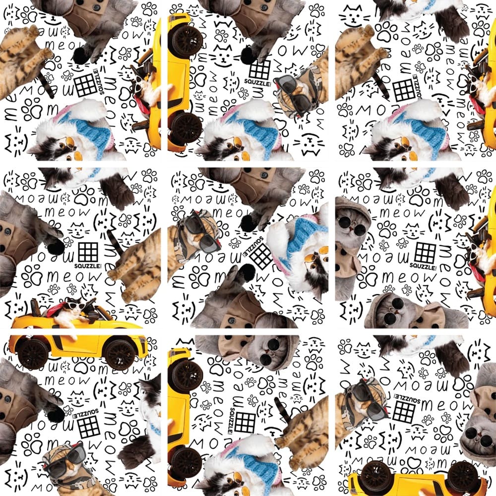 Squzzle Puzzle Cool Cats
