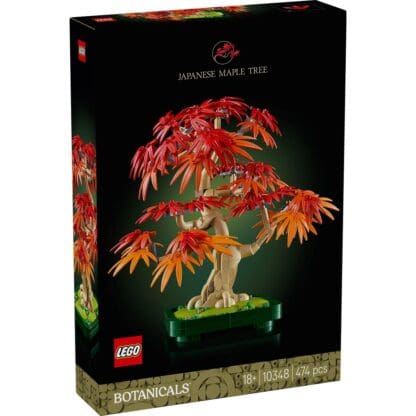 Botanicals - Japanese Red Maple Bonsai Tree