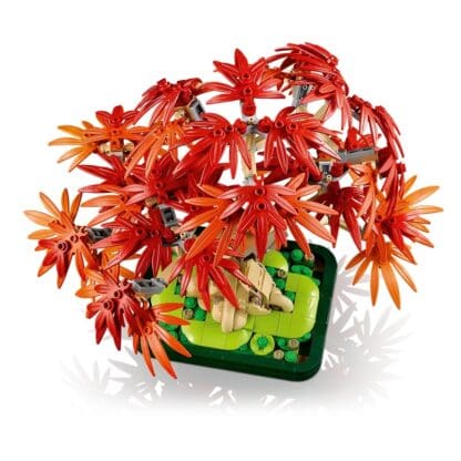 Botanicals - Japanese Red Maple Bonsai Tree - Image 5