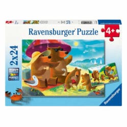 Bear Family Vacations - 2x24pc