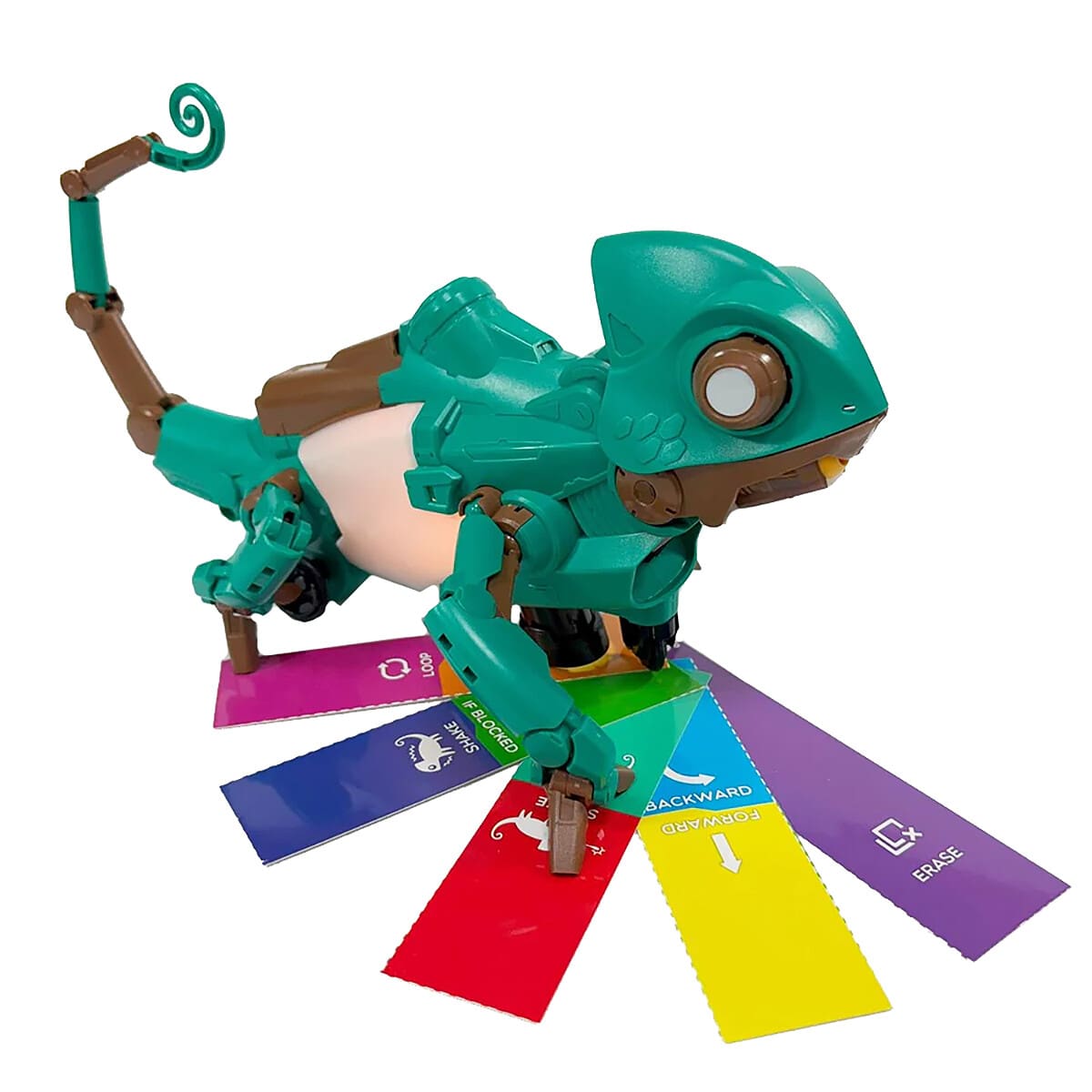 Kameo - DIY Colour Coding Chameleon - Image 3