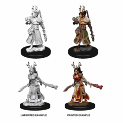 Nolzurs - Female Human Druid