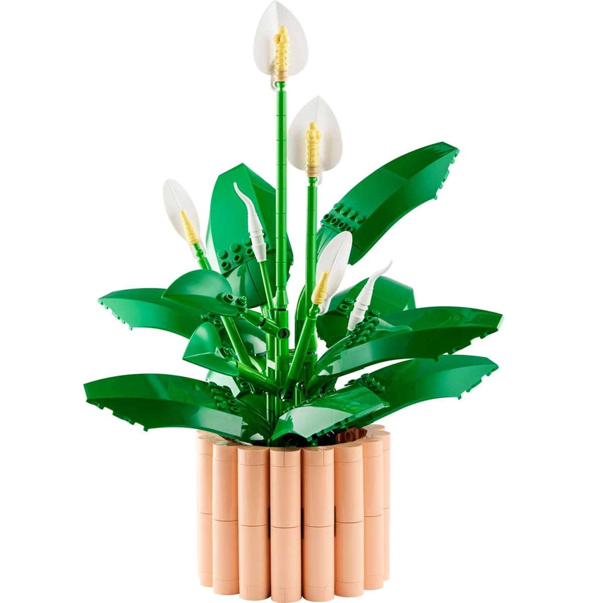 Botanicals - Peace Lily - Image 3