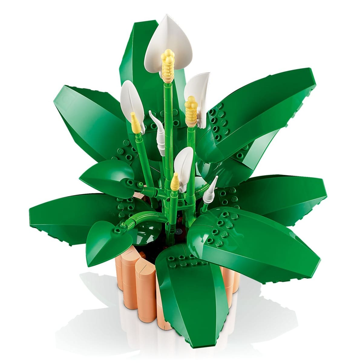 Botanicals - Peace Lily - Image 4