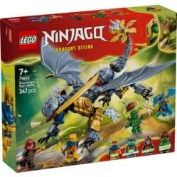 Ninjago - Ninja Dragon Riyus Battle