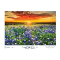 WMB From Above Bluebonnets At Sunset Texas USA - 1000pc