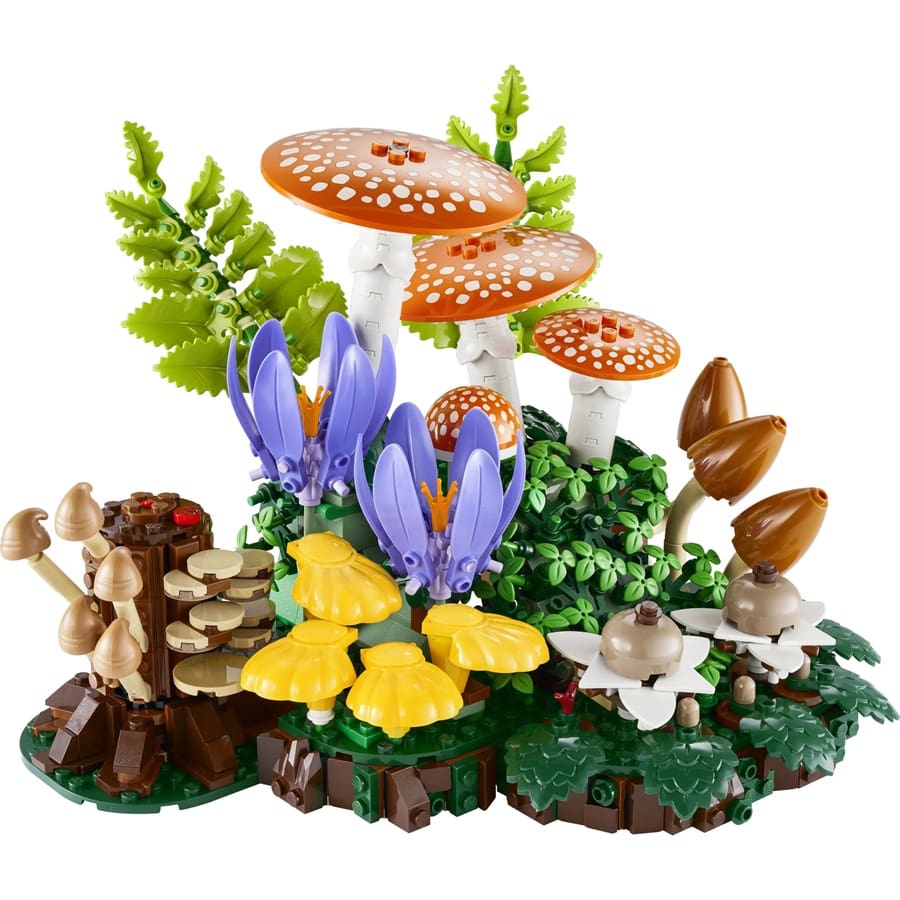 Botanicals - Woodland Mushrooms - Image 3