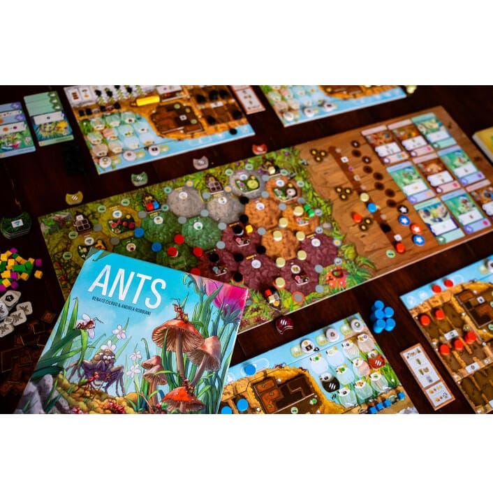 Ants - Image 3