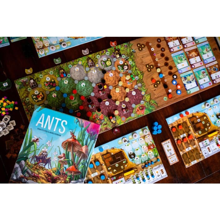 Ants - Image 4