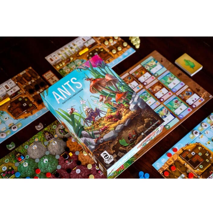 Ants - Image 5