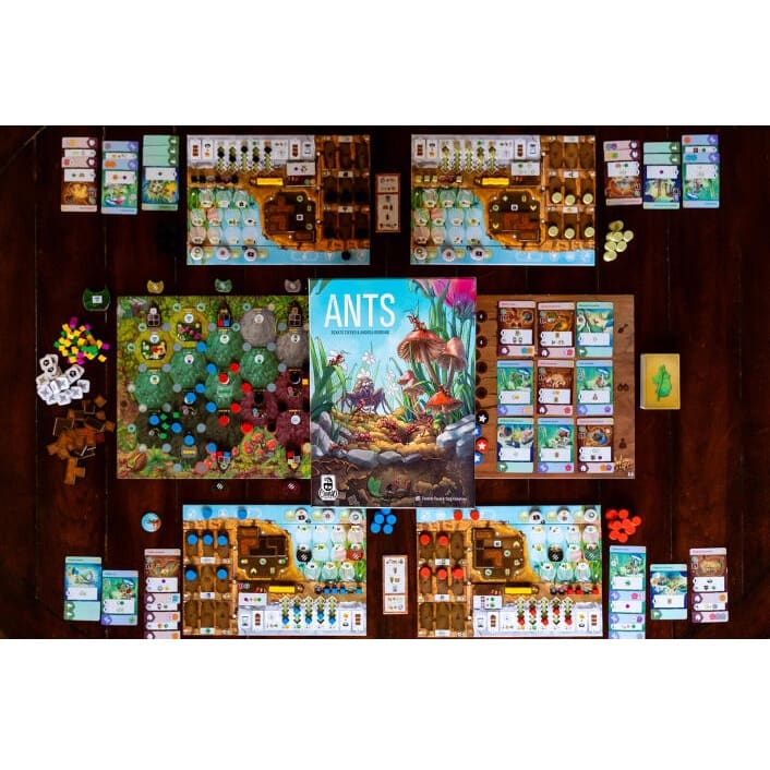 Ants - Image 6