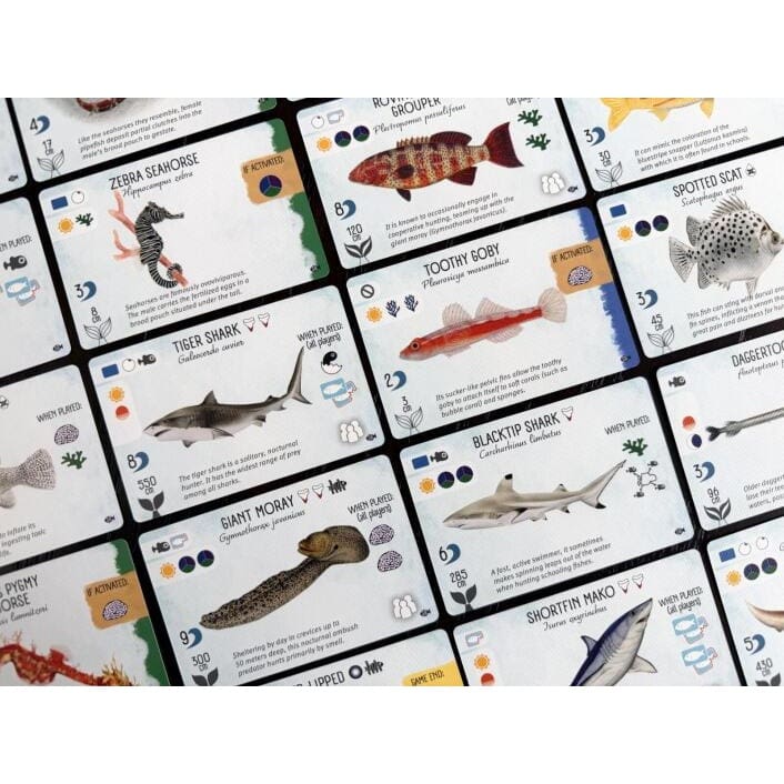 Finspan - Sharks & Reefs Expansion - Image 3
