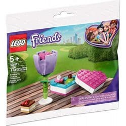 Friends - Chocolate Box & Flower - Polybag