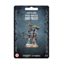 53-19 Space Wolves: Iron Priest